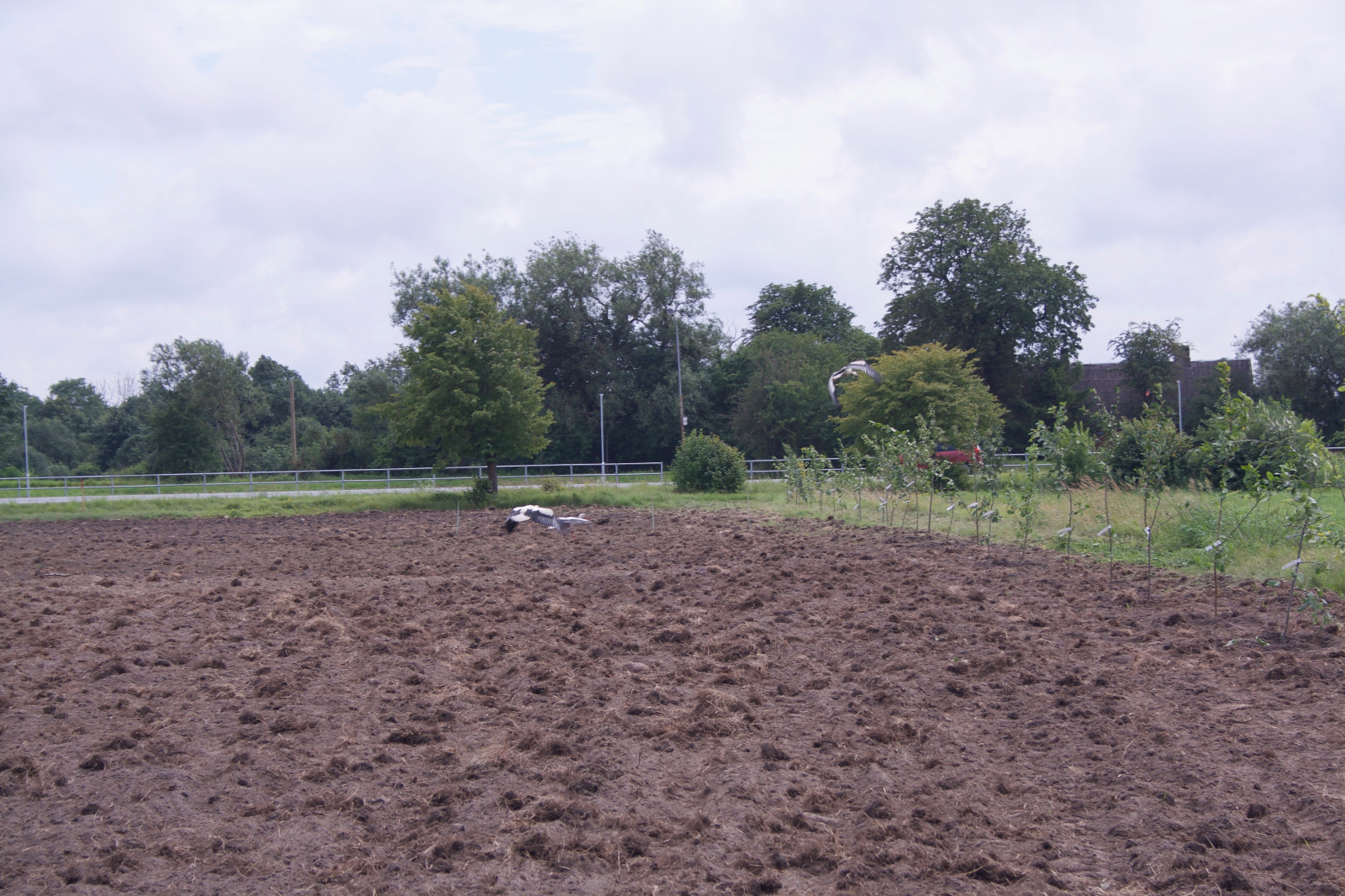 Expert soil analysis &<br>recommendations for optimal crop growth
