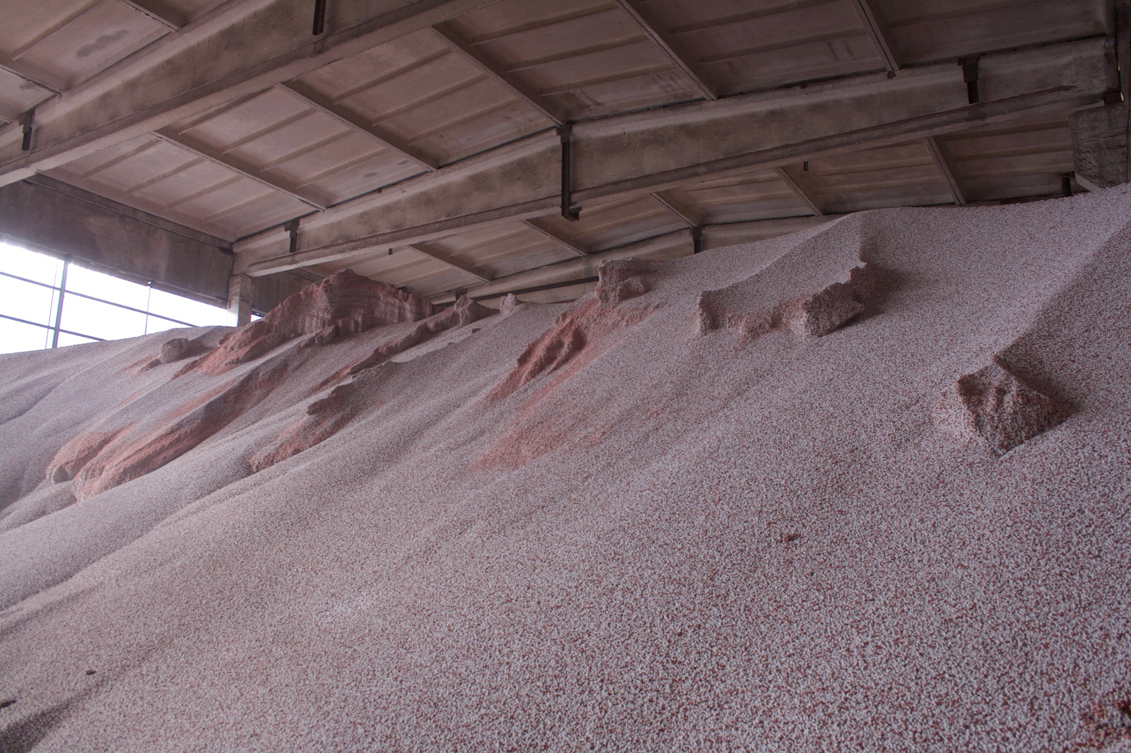 Empowering Growers <br>Through Knowledge